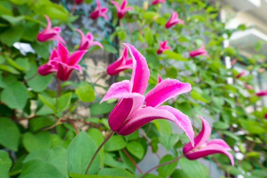 Orthosie/istockphoto.com