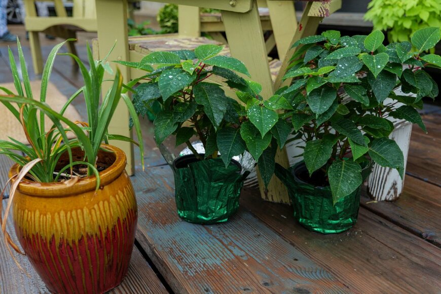                                                                 ISmiths/shutterstock.com