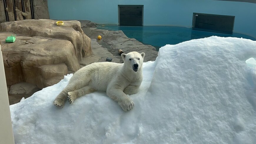 神戸市立王子動物園