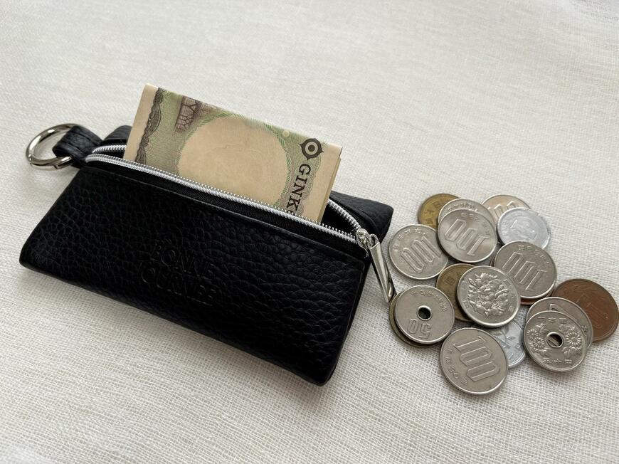 キャンドゥ「スリムポーチ」