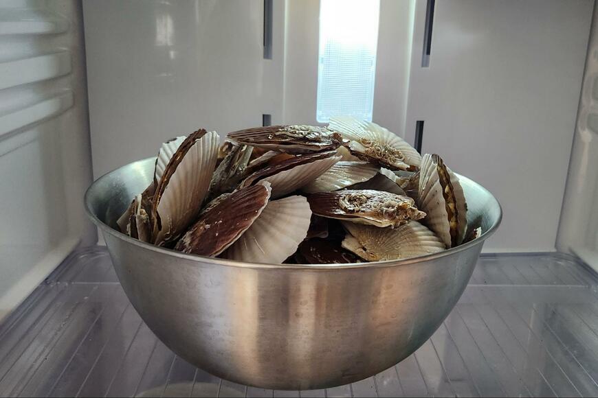 冷蔵庫で冷やされているホタテ