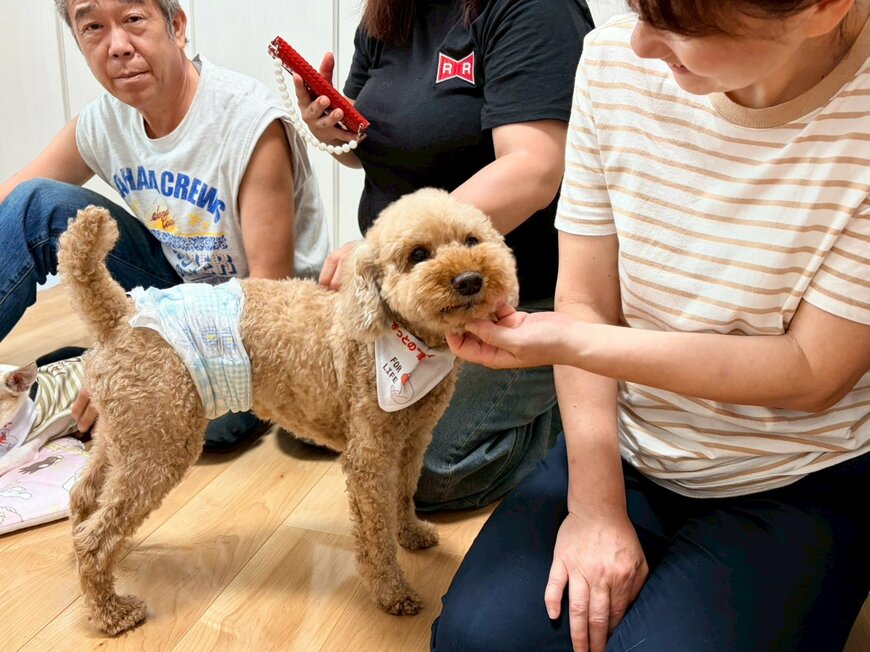 お散歩大好き！