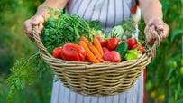 散歩中に農家の友人に会うと渡される「平均的な野菜の量」　とんでもない光景に「小さな八百屋さん出来そう」