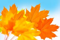 年収600万円世帯の貯蓄が気になる！負債額と純貯蓄額から見える現状