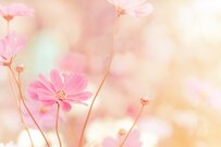 国民年金「月4万円未満」が約1割。低年金・無年金をどう避ける