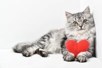 【2024年の年金カレンダー】厚生年金＆国民年金「年金一覧表」60歳～90歳以上の年金月額