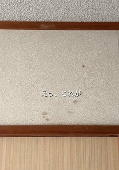 築35年の〈和室の壁〉→珪藻土を塗っておしゃれな〈ホワイトの壁〉が完成！「素敵な仕上がりですね！」の声