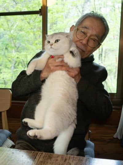 投稿の画像