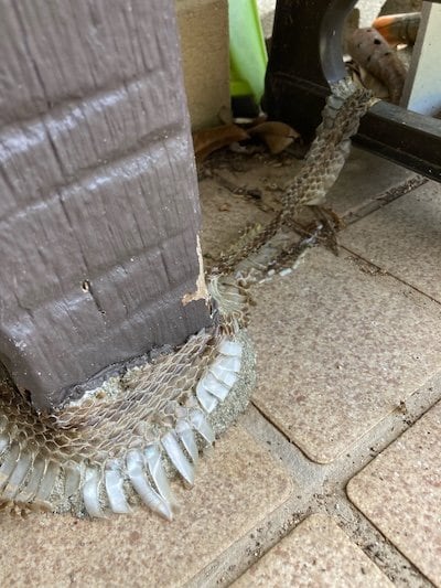 柱に注目
