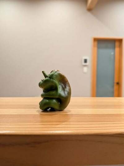 悩みすぎて変色し始めています