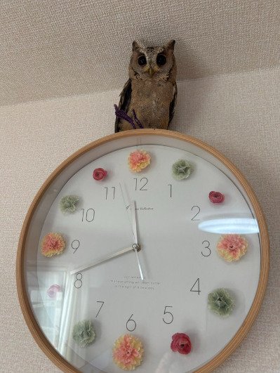 投稿写真