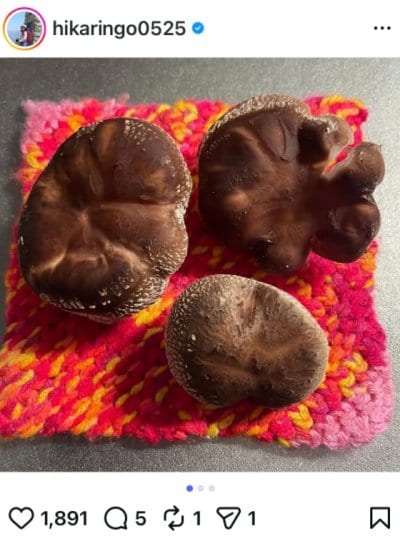 石田ひかりのInstagram投稿