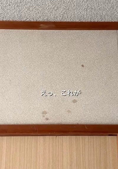築35年の〈和室の壁〉→珪藻土を塗っておしゃれな〈ホワイトの壁〉が完成！「素敵な仕上がりですね！」の声