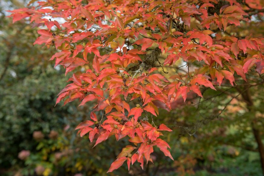 Peter Turner Photography/shutterstock.com