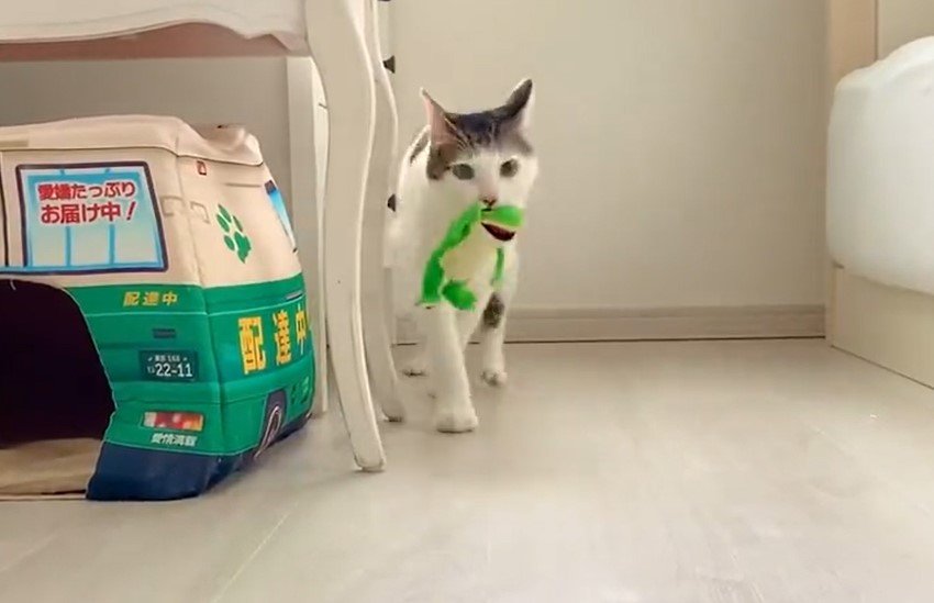 出所：@Saeroyi_cat