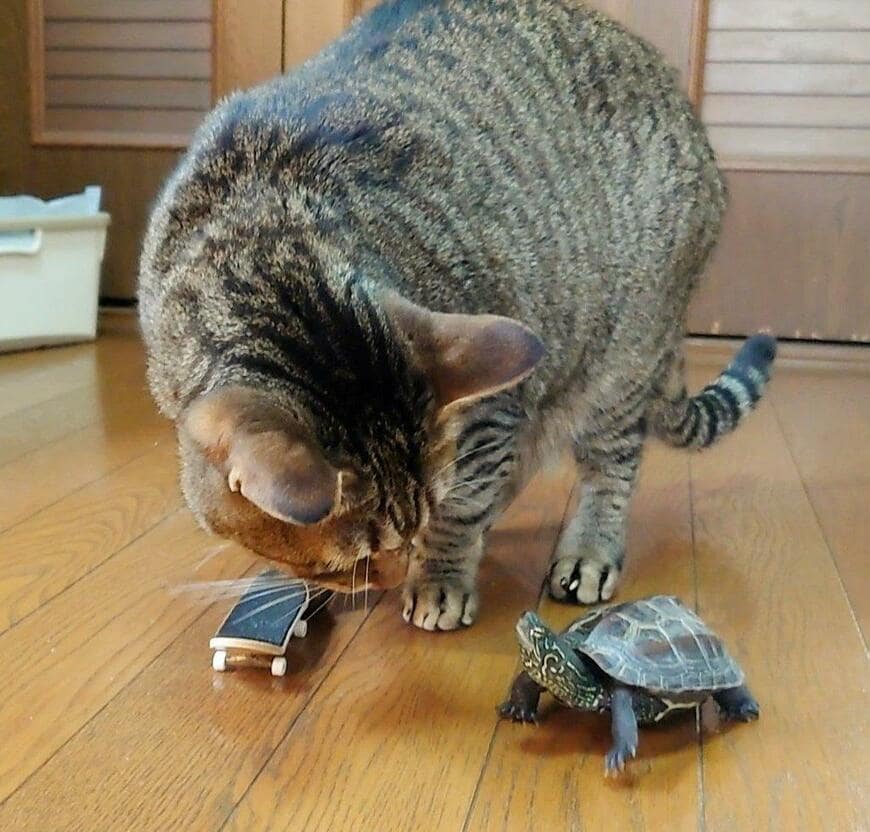 出所：@Mh0MLiErcV8E97C