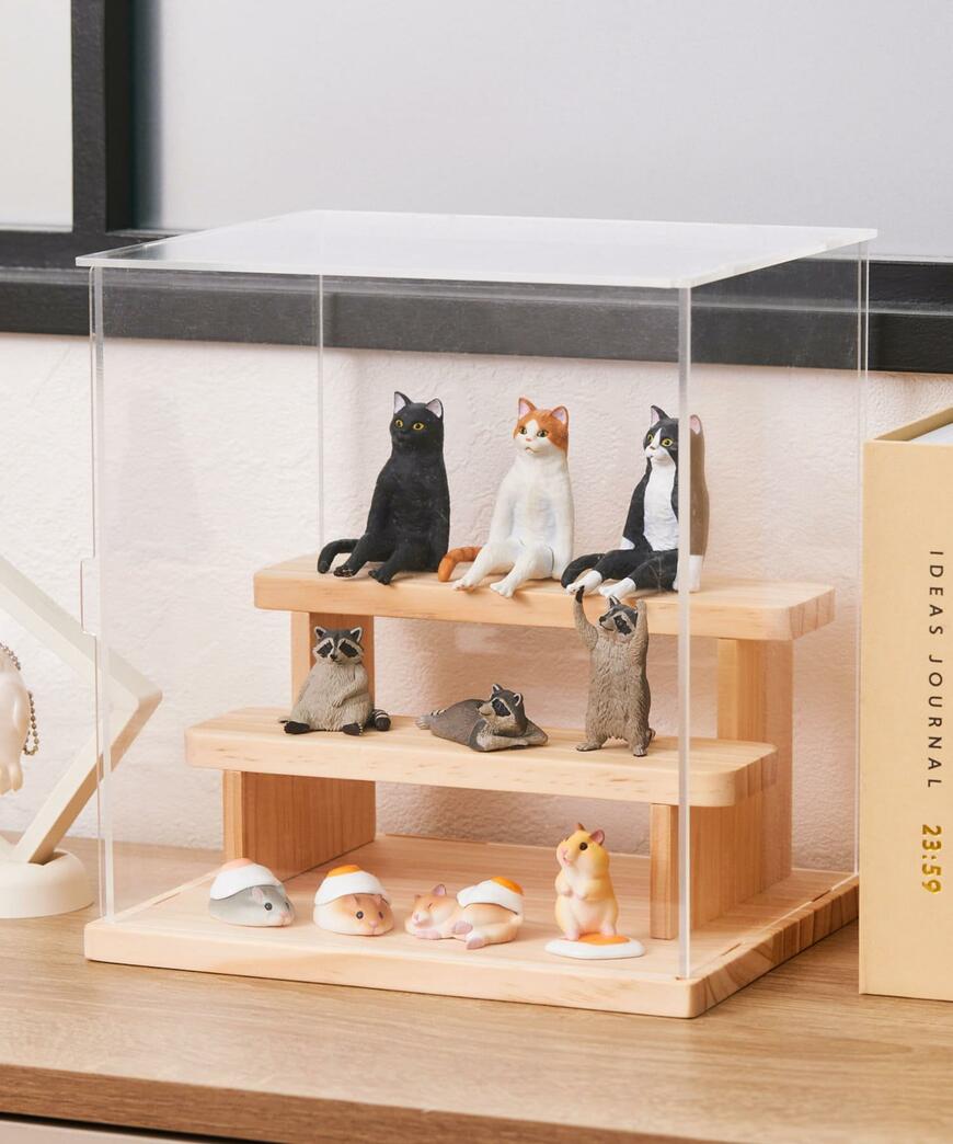 出所：パルグループ公式ファッション通販サイト 3COINS 階段付きアクリルディスプレイボックス／カプセルトイコレクション