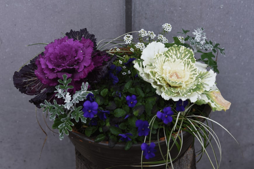 tamu1500/shutterstock.com