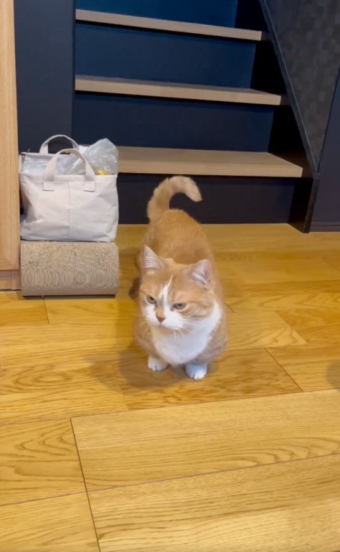 出所：@kotaro_0315