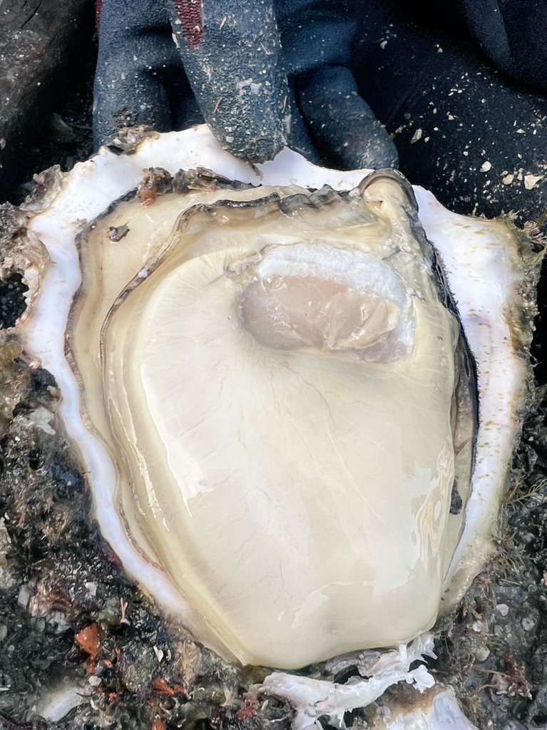 出所：@tomoyonishizaka