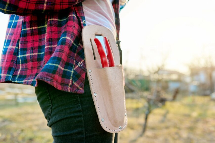 VH-studio/shutterstock.com