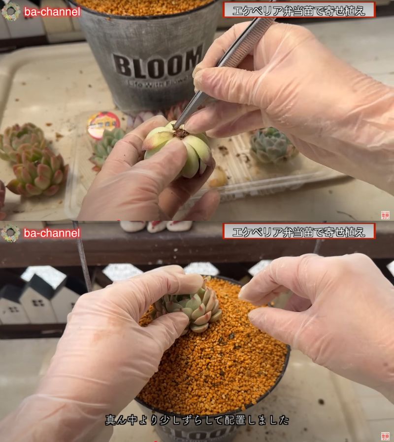 出所：@ba-channel