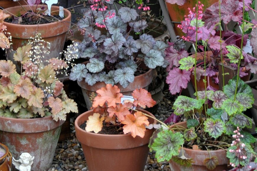 claire norman/shutterstock.com