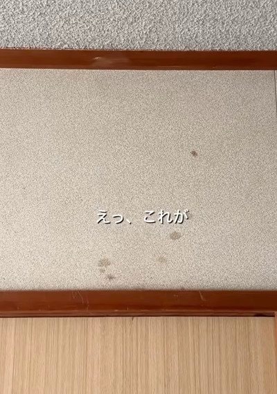 築35年の〈和室の壁〉→珪藻土を塗っておしゃれな〈ホワイトの壁〉が完成！「素敵な仕上がりですね！」の声
