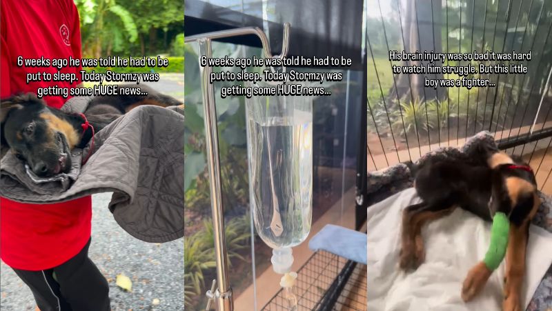 出所：@niall.harbison