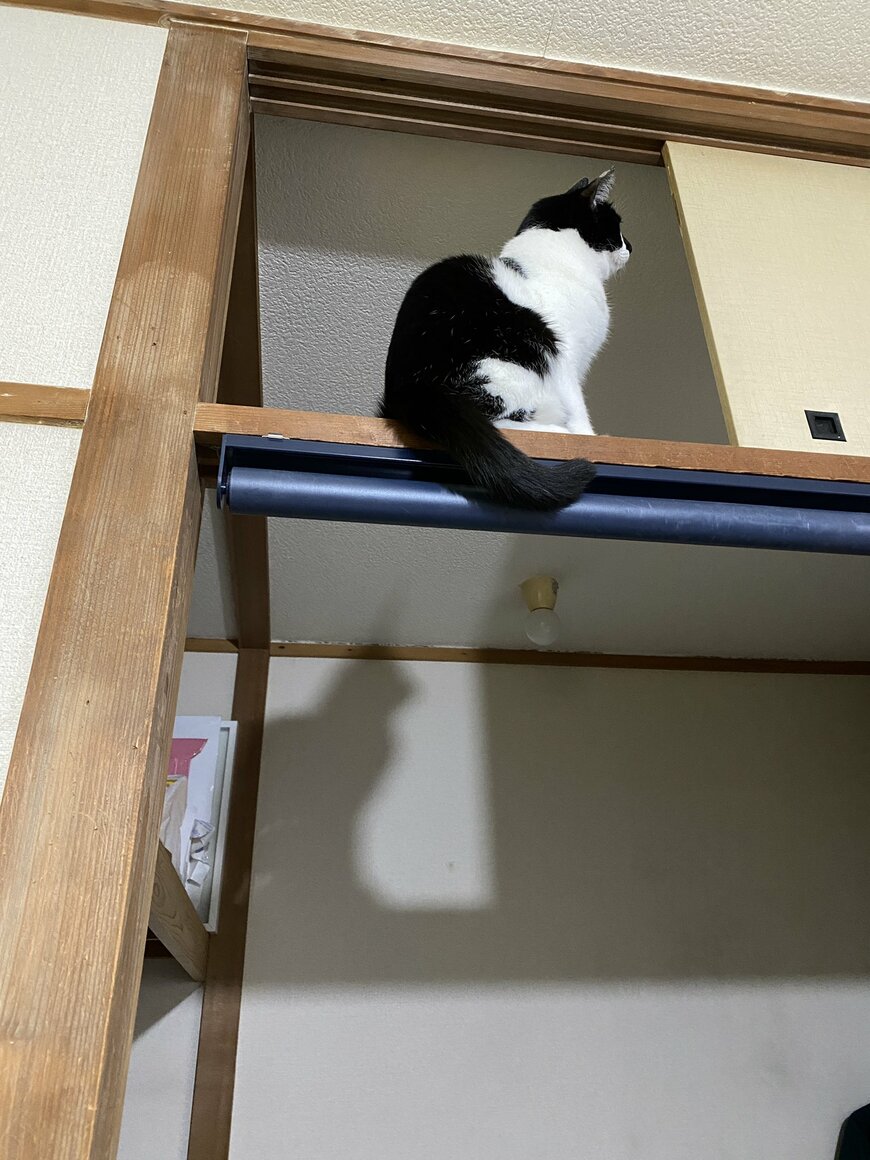 出所：@00shitemita