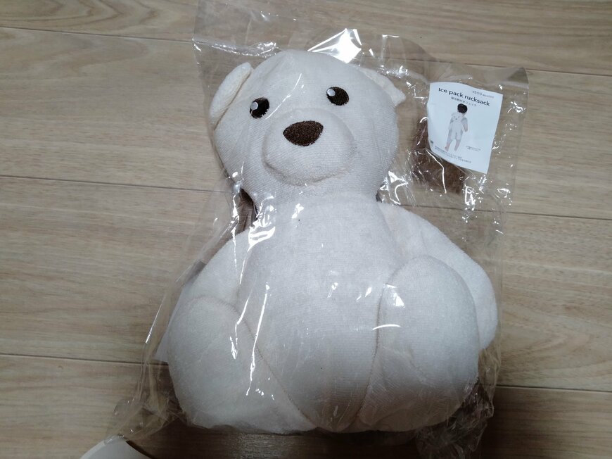 出所：筆者撮影（3COINS　保冷剤付きリュック）