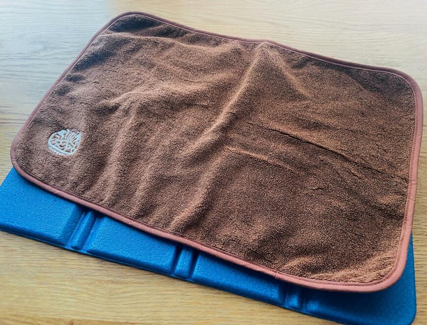 出所：筆者撮影