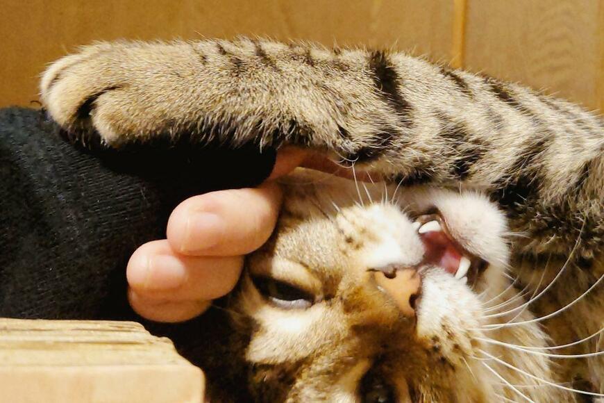 出所：@Mh0MLiErcV8E97C