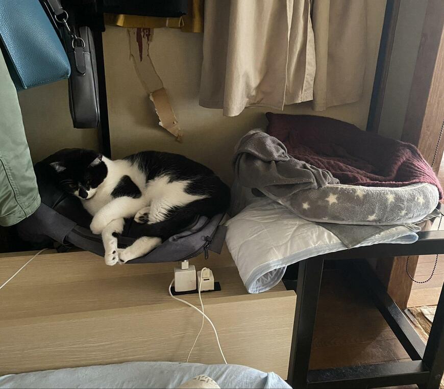 出所：@00shitemita