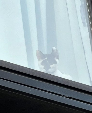 出所：@hikaitimilky