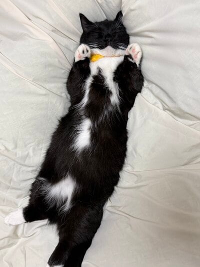 出所：@unicouniuni3