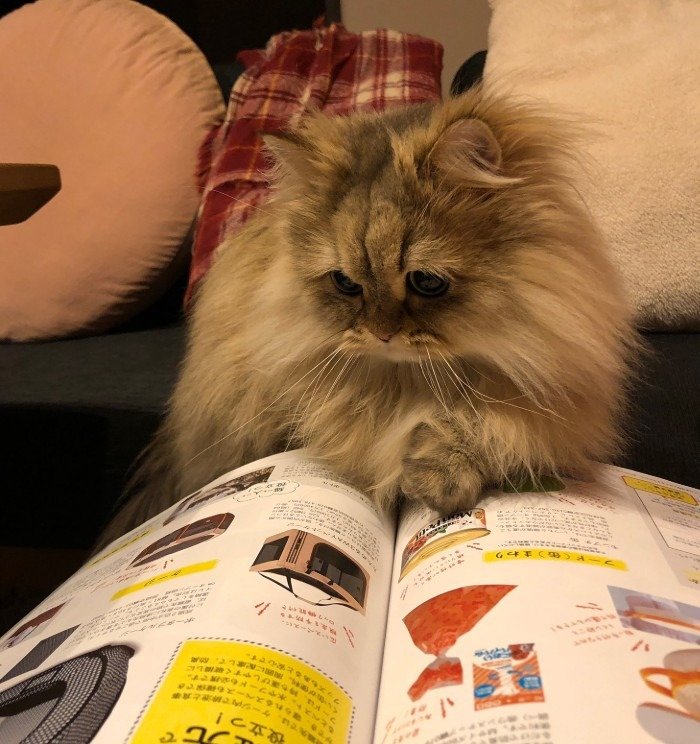 出所：@UphQepCv8J