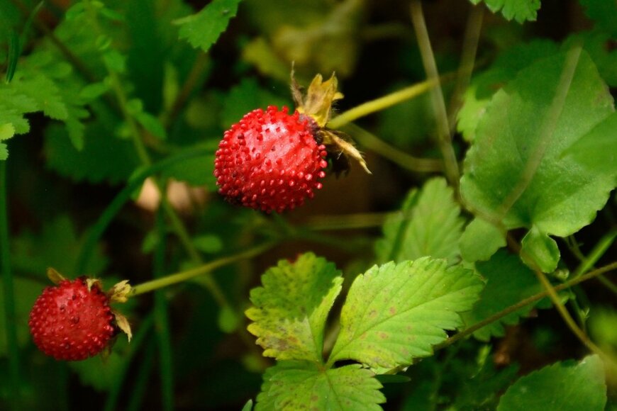 High Mountain/shutterstock.com