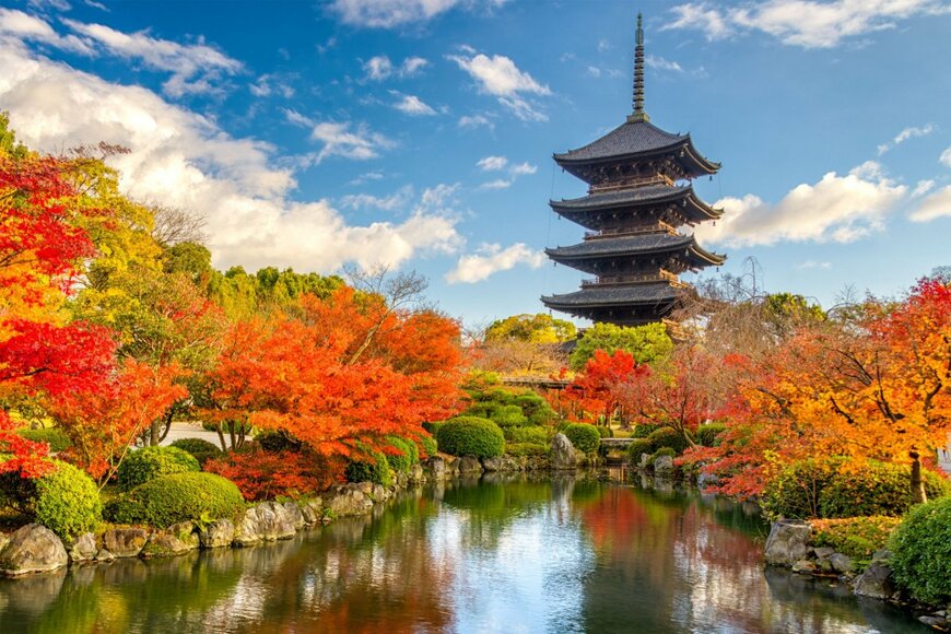 秋の京都観光は3年ぶりイベントも！全国旅行支援を使ってライトアップや紅葉を楽しもう