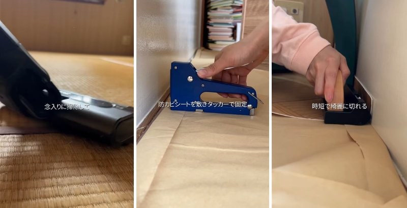 投稿の画像