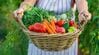 散歩中に農家の友人に会うと渡される「平均的な野菜の量」　とんでもない光景に「小さな八百屋さん出来そう」
