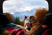 「国家公務員の退職金」ほんとうに会社員より多いのか？その差に迫る