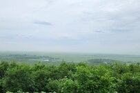 釧路湿原近くの道路を横断する「珍しい生物」　その正体に「なんて尊い」「貴重な映像」