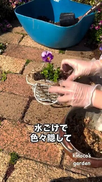 きの子（@miekinoco）さん投稿動画のキャプチャ