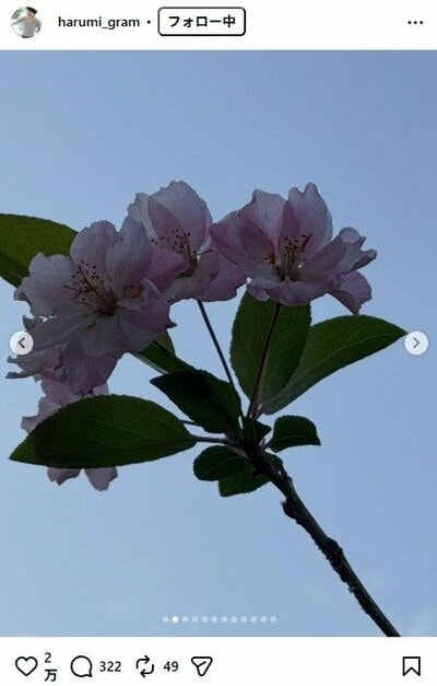 栗原はるみのInstagram投稿