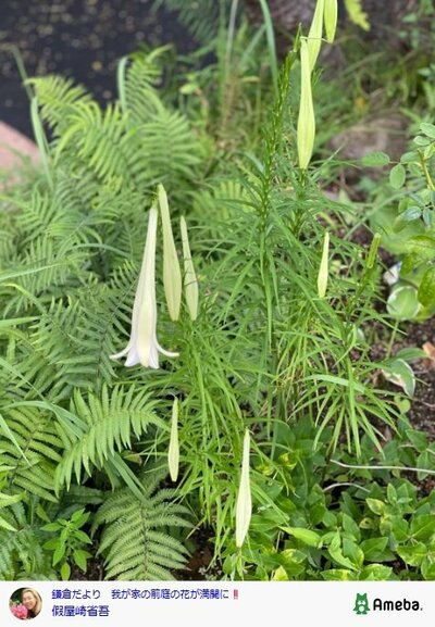 假屋崎省吾のAmebaブログ投稿