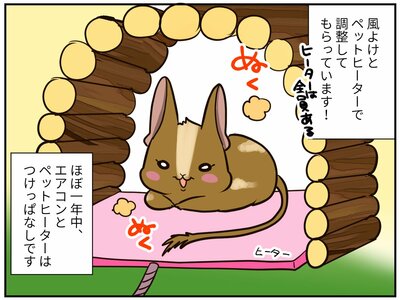 チンチライフ第186話