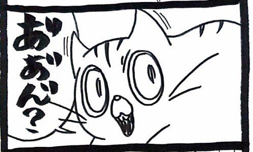猫を被るのはにゃんこも同じ…！？「ねこかぶり」描いた漫画にSNS反響