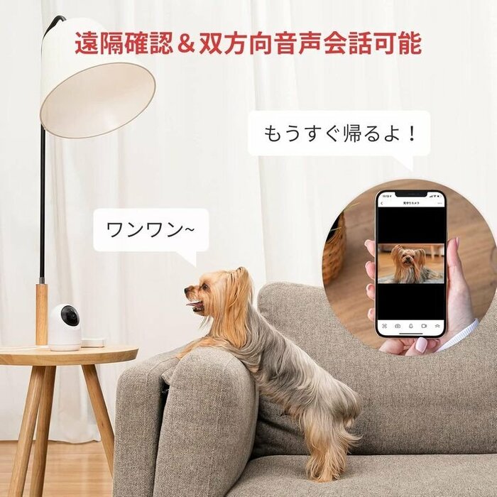 スマホアプリを通じてカメラの向こう側と会話をすることが可能です