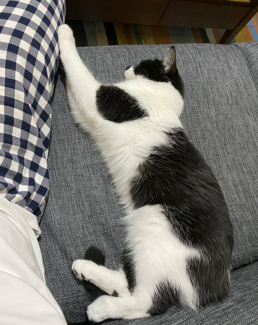 出所：@00shitemita